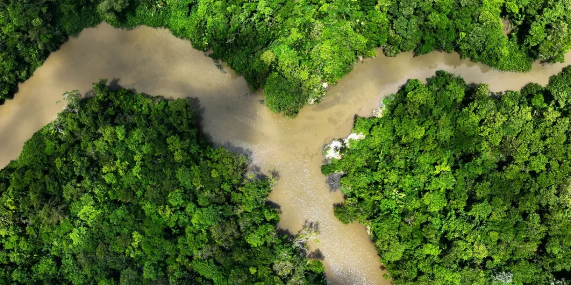 Imagem aérea do rio Piraíba, em Belém
05/08/2023REUTERS/Ueslei Marcelino