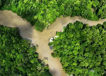 Imagem aérea do rio Piraíba, em Belém
05/08/2023REUTERS/Ueslei Marcelino