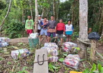 Mais de 4 mil famílias afetadas pela seca no Acre são beneficiadas com cestas básicas