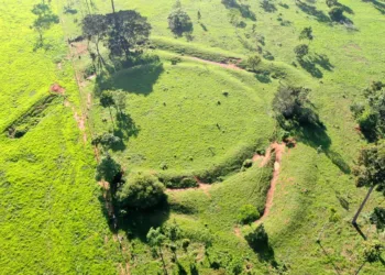 Geoglifos do Acre são destaque em simpósio internacional de arqueologia