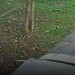Vídeo mostra momento que veículo passa por cima e arrasta criança deitada em via pública