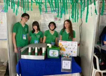 Escola tem se dedicado a incluir na grade escolar os eixos: ciência, tecnologia, meio ambiente e sociedade. Foto: Cedida