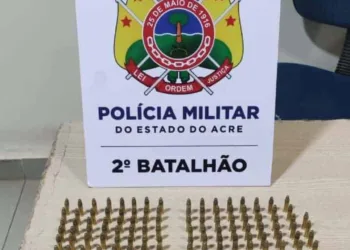 Mais de 200 munições são tiradas de circulação em apreensão no Taquari