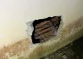 Plano de fuga de 18 detentos do presídio de Tarauacá é descoberto; veja as imagens