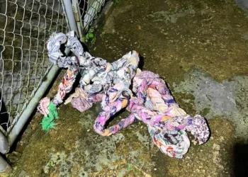 Plano de fuga de 18 detentos do presídio de Tarauacá é descoberto; veja as imagens
