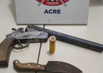 Polícia apreende armas, menores infratores e dois homens em ação na Cidade do Povo