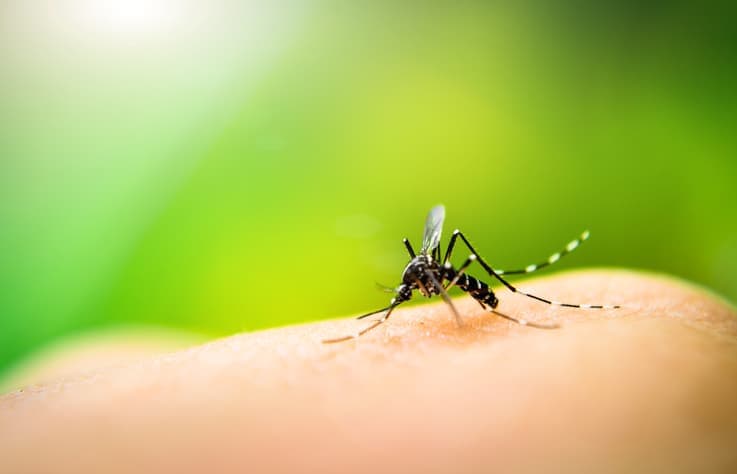 Acre tem mais de 2,5 mil casos confirmados de dengue no primeiro semestre de 2024