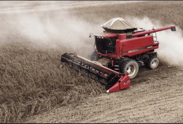 Soja foi o produto do Acre mais exportado em 2023