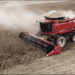 Soja foi o produto do Acre mais exportado em 2023