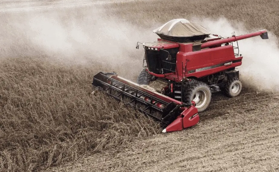 Soja foi o produto do Acre mais exportado em 2023
