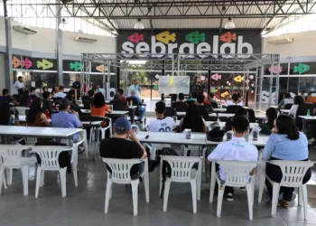 Sebrae no Acre impulsiona startups locais com programa “Acre for Startups”