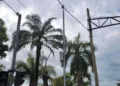 Carnaval da prefeitura terá câmeras de monitoramento em tempo real para segurança da população