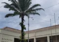 Carnaval da prefeitura terá câmeras de monitoramento em tempo real para segurança da população