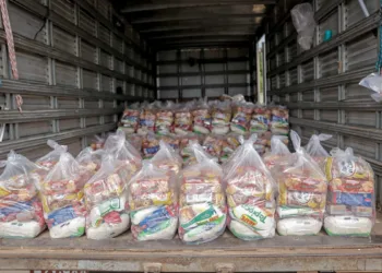 Foliões poderão contribuir em ação solidária levando 1kg de alimento ao show de Neguinho da Beija-Flor