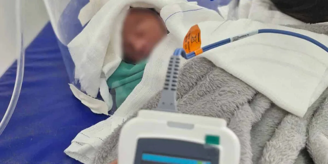 O bebê nasceu com apenas 33 semanas de gestação e se chama Luidy. Foto: cedida