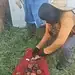 Trabalhadores encontram mandinga para separar casal em cemitério no interior do Acre