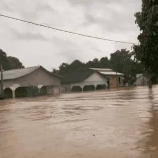 Vídeo: Em Jordão, enchente já deixa casas quase totalmente submersas