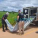 Corpo de homem com marcas de violência e perfuração é encontrado em ramal de Rio Branco