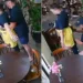 Vídeo mostra falso massagista apertando seios e nádegas de vítima — Foto: Reprodução