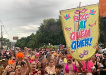 Bloco Vai Quem Quer reúne milhares de foliões no Tucumã; veja fotos