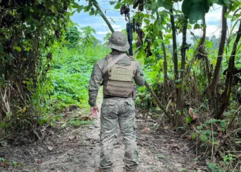 PF cumpre nove mandados de busca apreensão em operação contra o tráfico de drogas no Acre