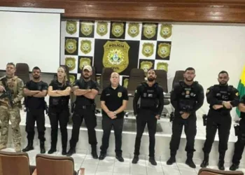 Polícia Civil realiza operação e cumpre mandados contra suspeitos de furto qualificado