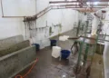 Operação apreende 170 kg de carne inadequada para o consumo de empresa que fornece alimentos para penitenciária de Tarauacá