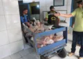 Operação apreende 170 kg de carne inadequada para o consumo de empresa que fornece alimentos para penitenciária de Tarauacá