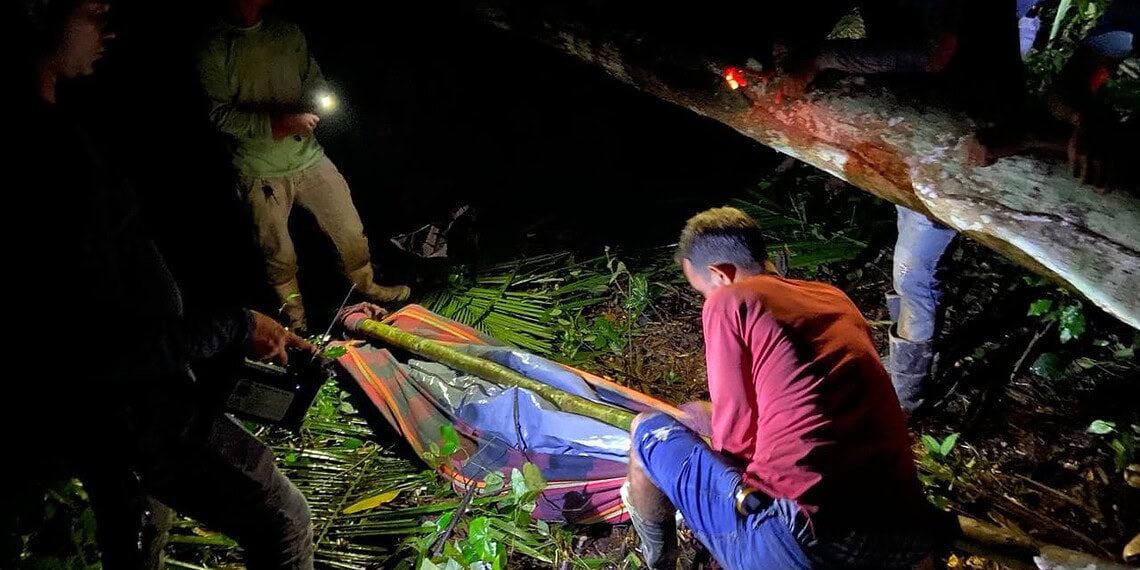 Colono morre ao ser atingido por árvore e polícia realiza operação de resgate em área remota