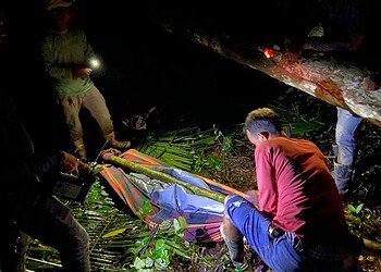 Colono morre ao ser atingido por árvore e polícia realiza operação de resgate em área remota