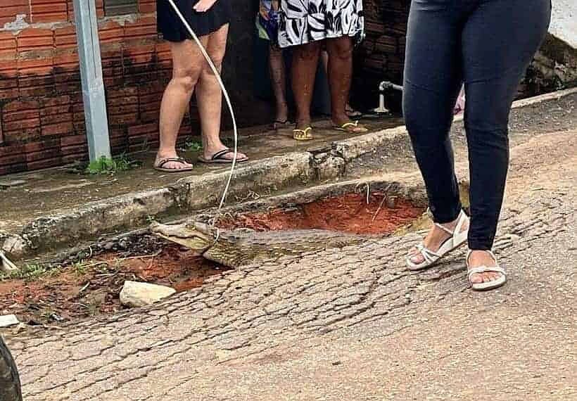 Foto: Reprodução