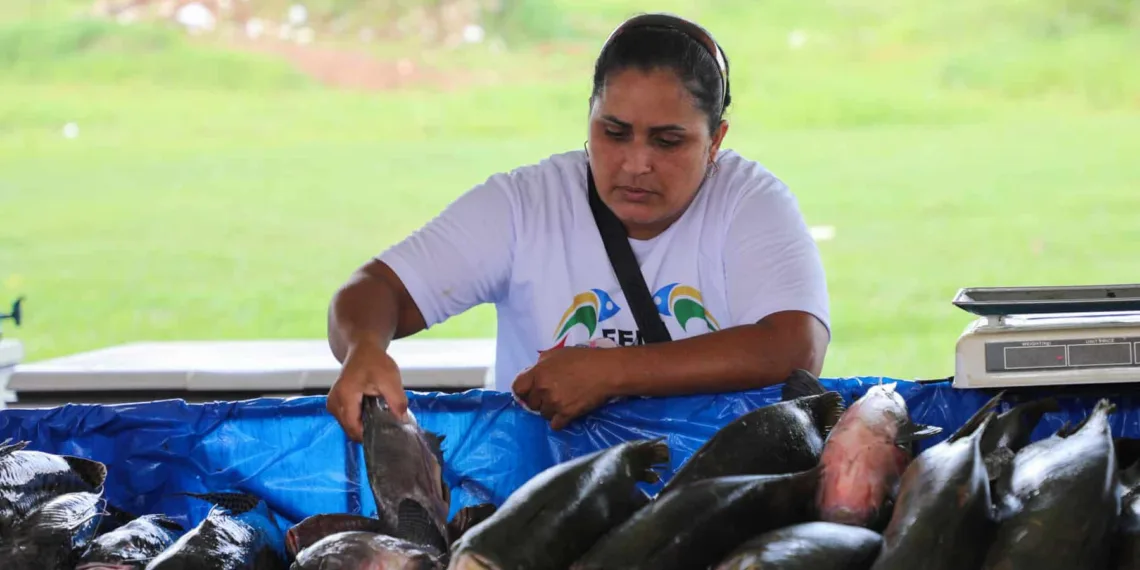 Sebrae apoia Feiras do Peixe em nove municípios do Acre