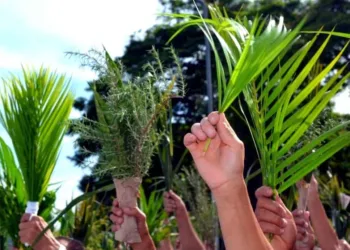 Domingo de Ramos abre celebrações da Semana Santa em Rio Branco; veja programação