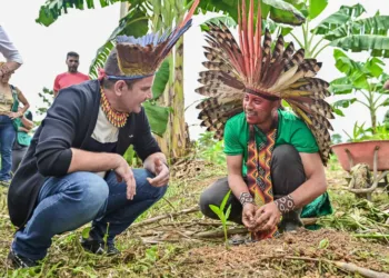 Foto: Diego Gurgel/Secom