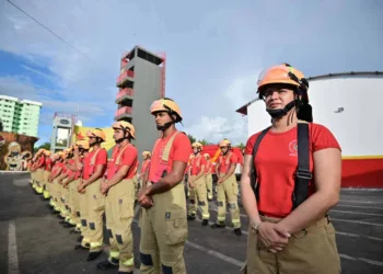 Foto: Diego Gurgel/Secom