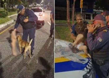Bebê de 1 ano foge de casa sozinho, em Belém, e é encontrado de madrugada andando com cachorro caramelo