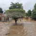 Foto: Arquivo pessoal