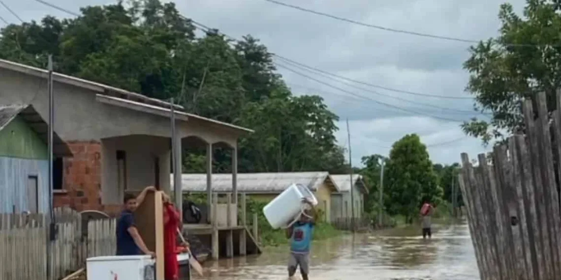 Acre registra 14 casos de leptospirose em 2024; Saiba como prevenir