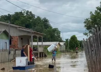 Rio Envira passa da cota de transbordo e mais de 50 pessoas estão desabrigadas em Feijó