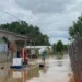 Acre registra 14 casos de leptospirose em 2024; Saiba como prevenir