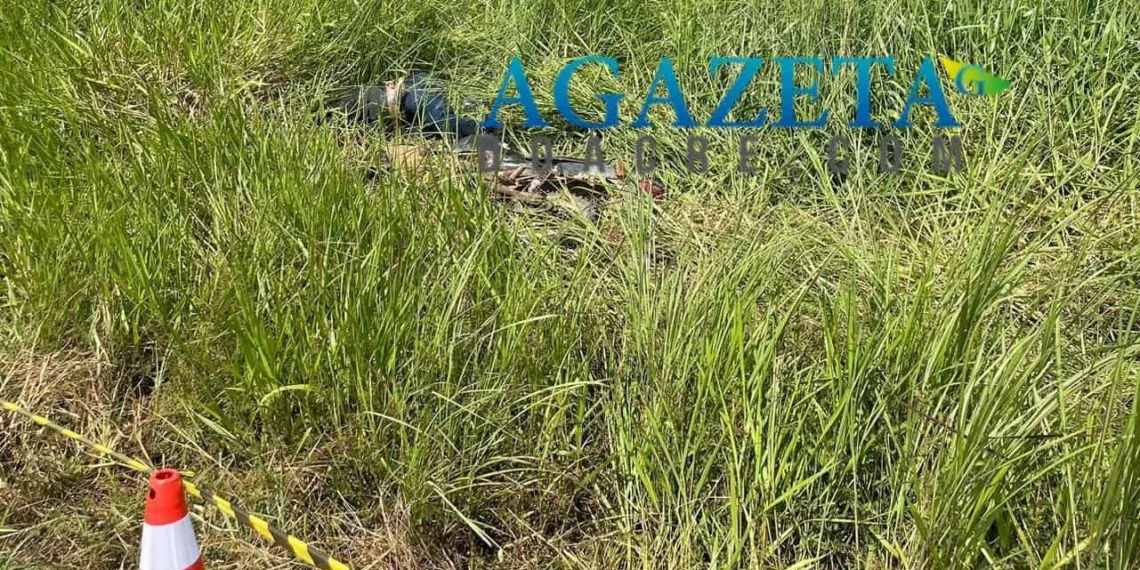 Corpo em elevado estado de decomposição é encontrado às margens da BR-364