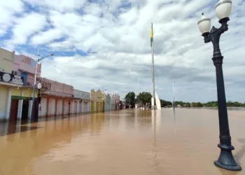 Foto: Walcimar Júnior