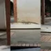 VÍDEO: Empreendedora flagra jacaré 'passeando' no Mercado do Quinze em Rio Branco