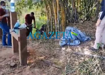 Restos mortais são encontrados em área de mata no interior do Acre