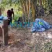 Restos mortais são encontrados em área de mata no interior do Acre
