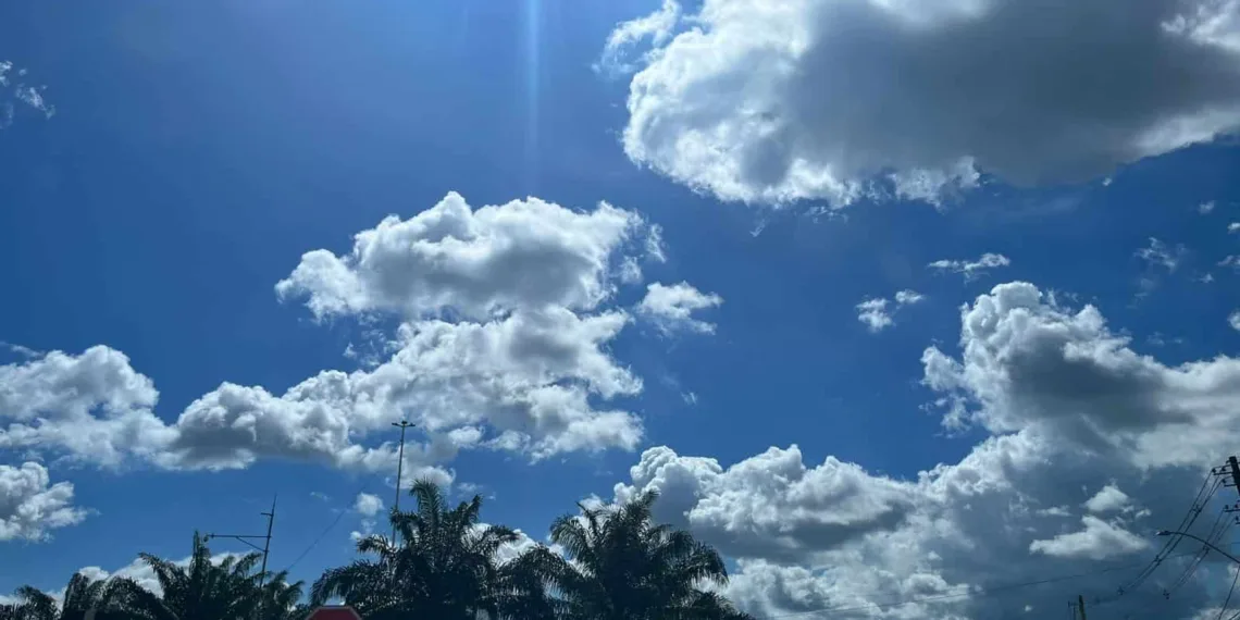 Foto: Iryá Rodrigues