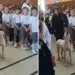 Vira-lata caramelo invade escola e 'canta' hino nacional com alunos; veja vídeo