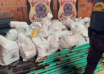 PF incinera mais de uma tonelada de cocaína e maconha, em Rio Branco
