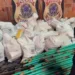PF incinera mais de uma tonelada de cocaína e maconha, em Rio Branco