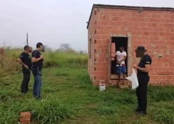 Foto: Polícia Civil